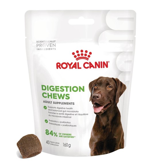 ROYAL CANIN DIGESTION CHEWS ADULT