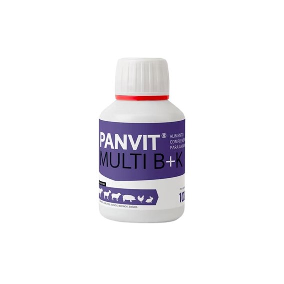 PANVIT MULTI B+K